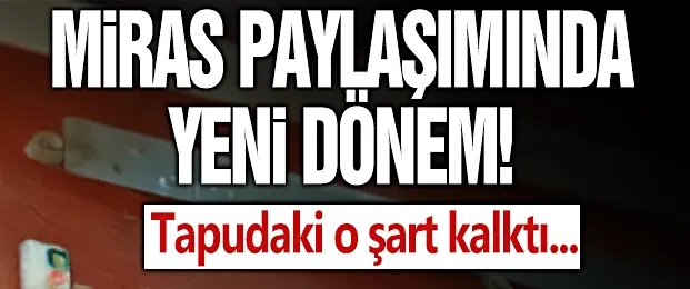 Kardeşler arası miras paylaşımında yeni dönem! 