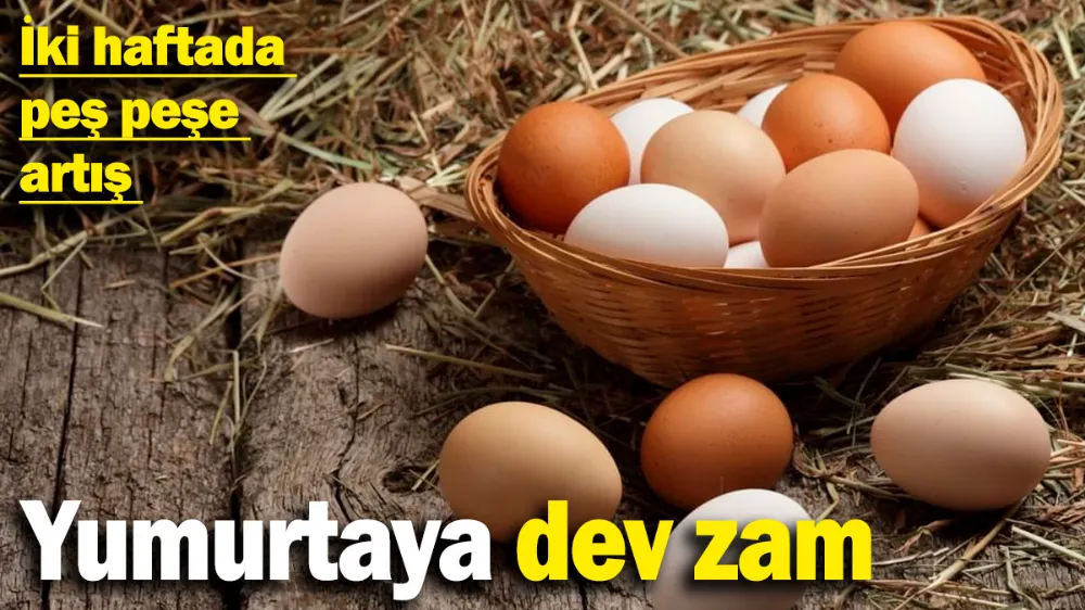 Yuh artık! bir adet yumurtanın fiyatı 10 liraya dayandı...