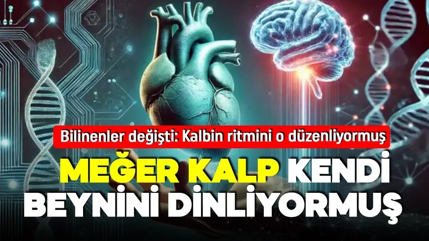 Bu keşif bilinenleri değiştirdi...