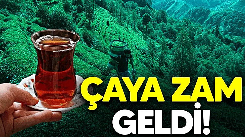 ‘Bir yılda iki kez oldu’