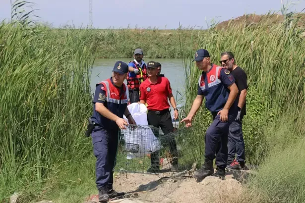 Adana’da kaçak balık avına geçit yok