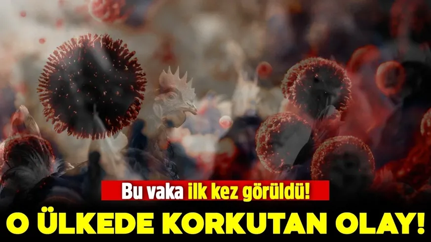 Hayvanla teması olmayan bir insanda kuş gribi çıktı...