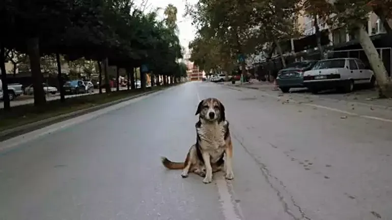 Adana’nın cadde ve sokakları sessizliğe büründü