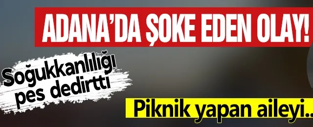 Piknik yapan ailenin aracını böyle soydu