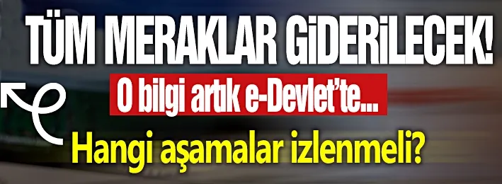 e-Devlet zamlı maaş sorgulama ekranı!