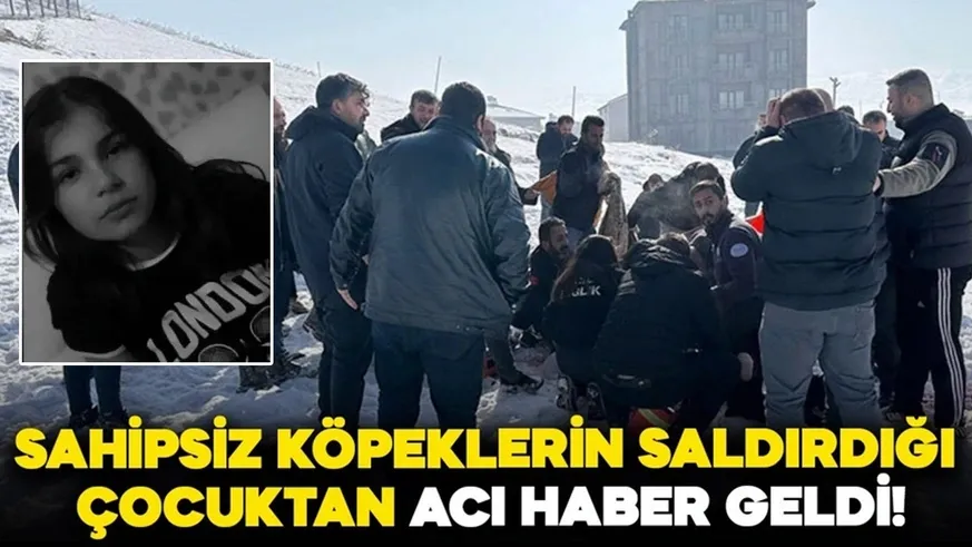 12 yaşındaki Eslem Teker’in feci ölümü! Sokak köpekleri boynundan ısırdı...