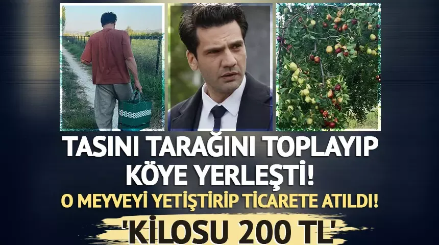 Yargı