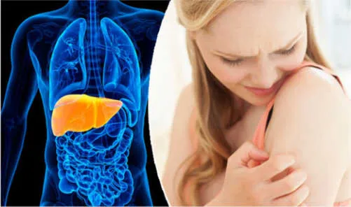 Karaciğer Hastalıklarının En Yaygın Nedeni!