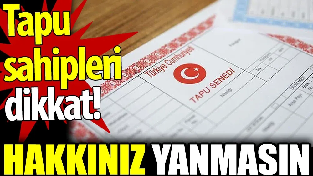 Her şeyini kaybedebilirsiniz!