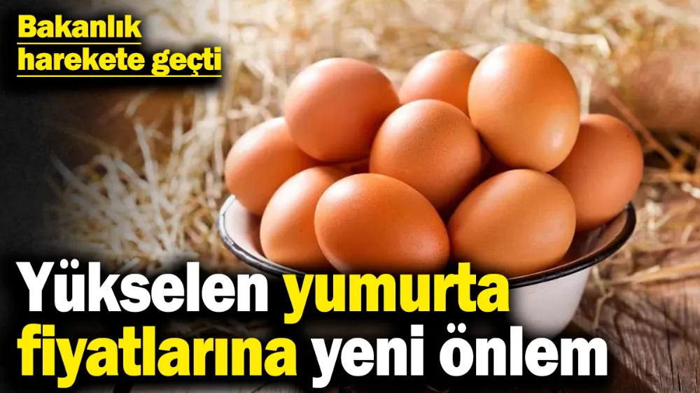 Yükselen yumurta fiyatlarına yeni önlem! 