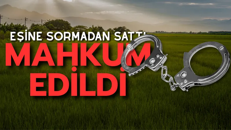 Yargıtay
