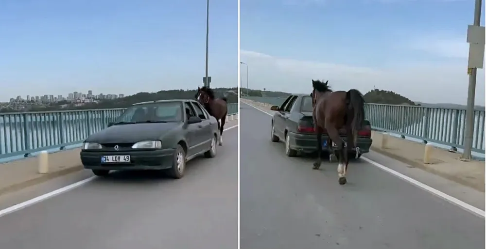 Otomobile bağladığı at ile ilerledi; 2 gözaltı