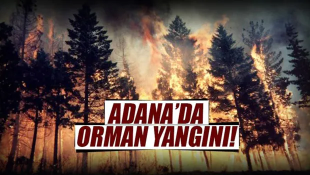 Adana’da iki noktada orman yangını çıktı...