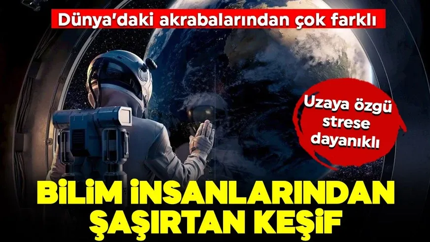 Bilim insanlarından şaşırtan keşif...