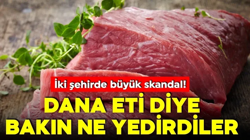 Adana’da 3 ton bozulmuş at eti ele geçirildi...