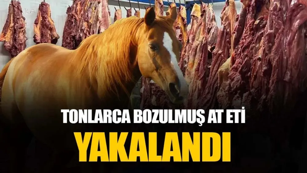 Adana at etine doydu! Tonlarcası ele geçirildi...