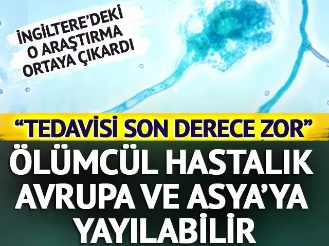 Tedavisi son derece zor!