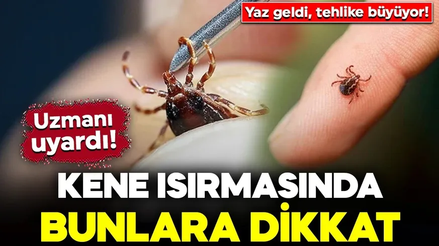 Yaz geldi, tehlike büyüyor! Özellikle bunu sakın yapmayın...