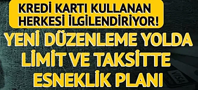 Kredi kartı kullanan herkesi ilgilendiriyor! Yeni düzenleme yolda: Taksit süresi 6 aya çıkabilir