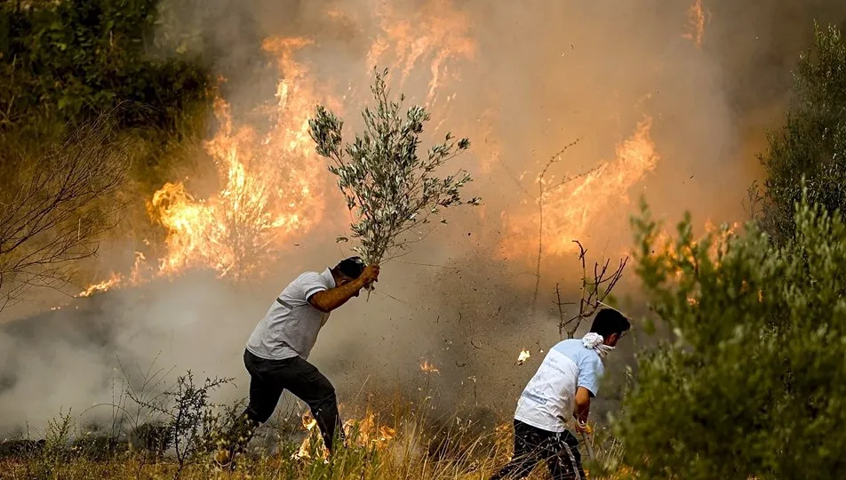 Adana ve Osmaniye’de 14 farklı noktada orman yangını çıktı...