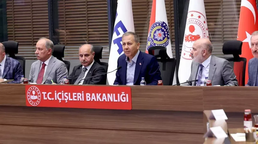 Trafik hız levhaları ve sokak hayvanları masaya yatırıldı...