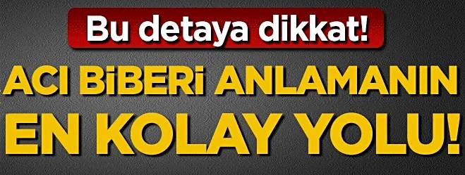 Acı biberi anlamanın en kolay yolu!