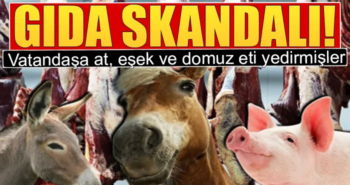  Utanmazlar tek tek ifşa edildi...