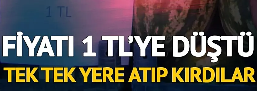 Fiyatı 1 TL