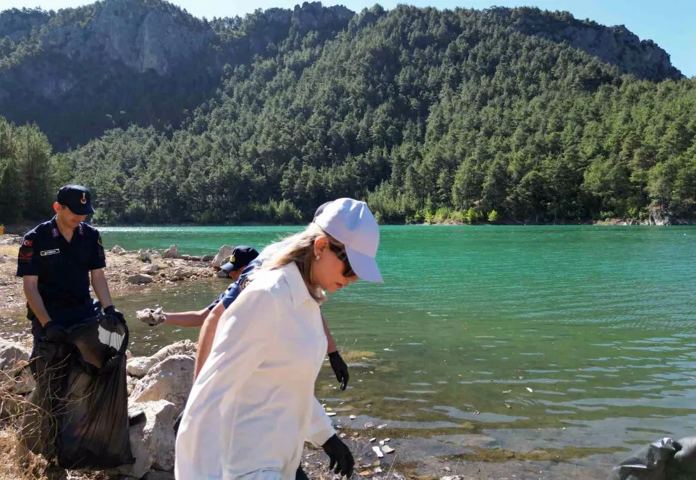 Kamu görevlileri, orman yangınına karşı atık topladı