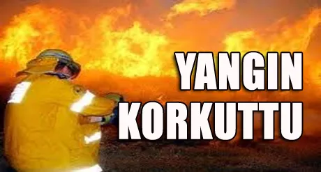 Kozan