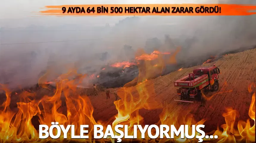 Sadece 2025 yılında 64 bin 500 hektar alan zarar gördü!  