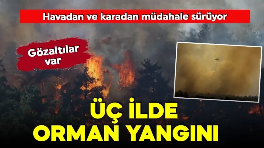 3 şehir de  orman yangını 3 kişi gözaltına alındı...