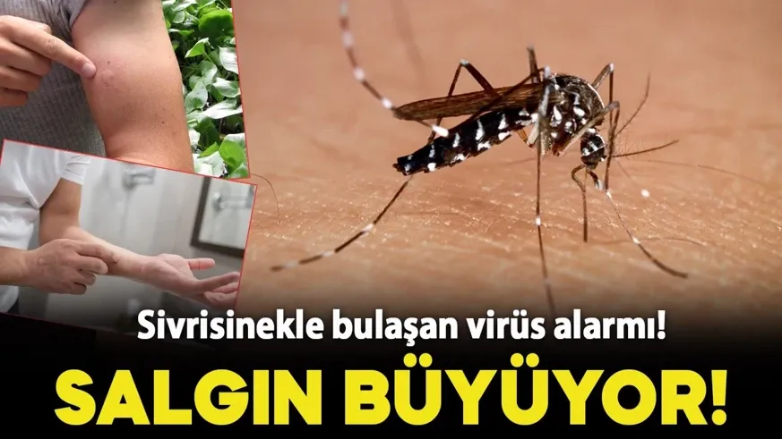 Her 10 kişiden biri hayatını kaybediyor...