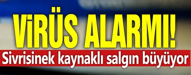 Virüs alarmı! Sivrisinek kaynaklı salgın büyüyor...