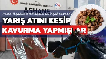 Belediye aşevinde skandal! Kavurmanın içinden yarış atı çipi çıktı