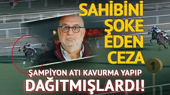 Kavurma yapılan şampiyon atın sahibine yüklü ceza!