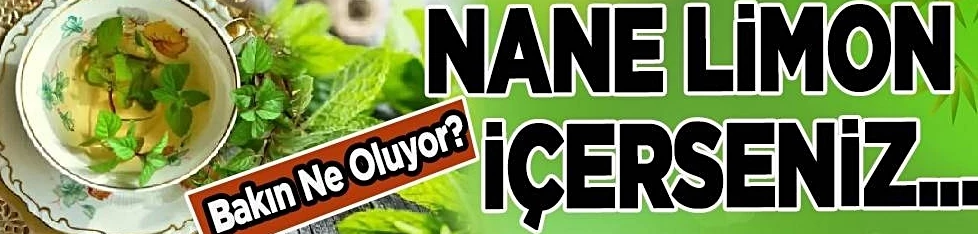Nane limonun faydaları nelerdir, nasıl yapılır?